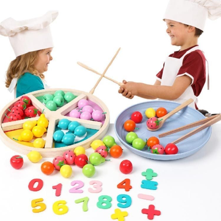 Montessori Wooden Classification Of Fruits-4Y+