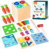 Montessori 5 in 1 Wooden Toys/3y+/Educational Toy